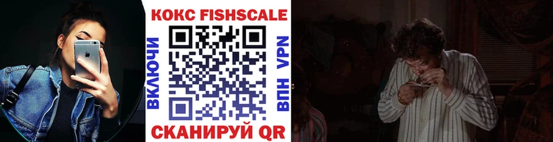 Кокаин Fish Scale  купить наркоту  Строитель 