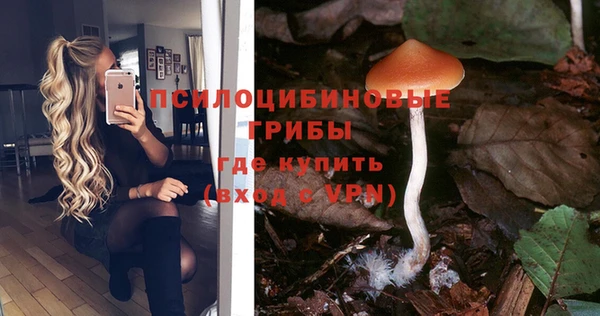 экстази Осинники
