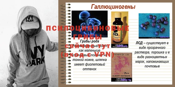 ешки Баксан